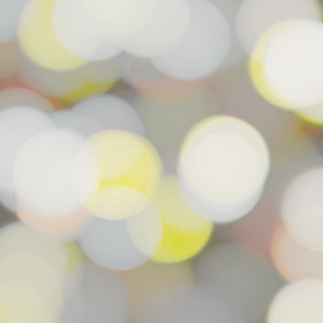 BOTON ENTRENADOR PARA PERROS